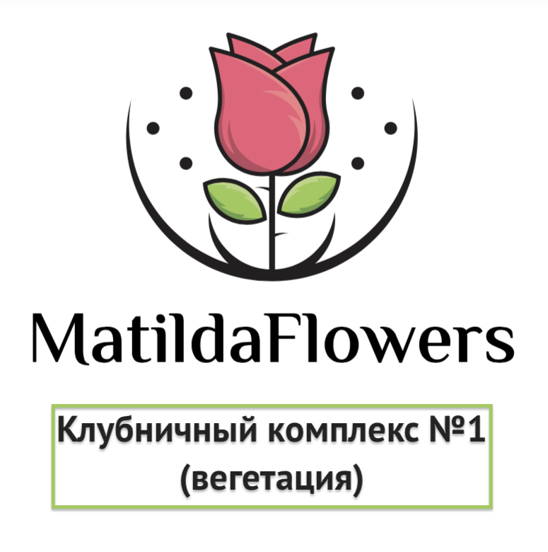 Фото Клубничный комплекс 1 (вегетация) в Новосибирске Matilda Flowers