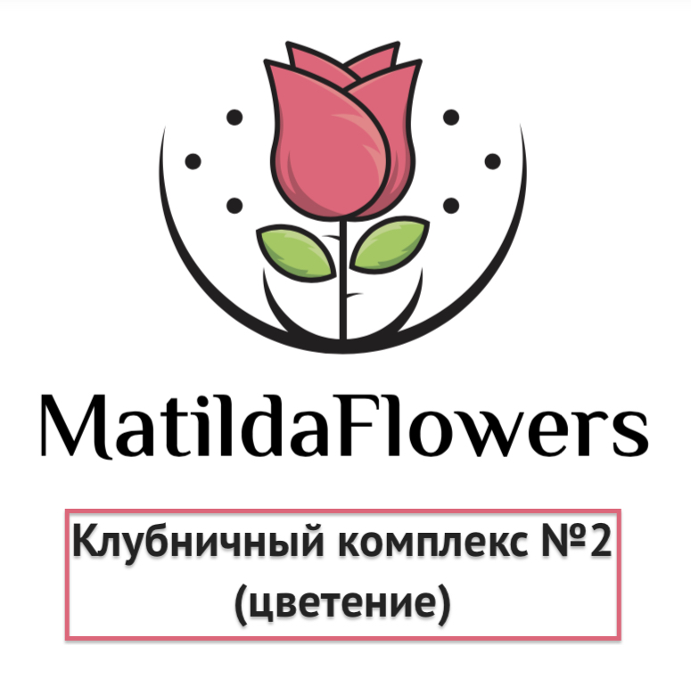 Фото Клубничный комплекс 2 (цветение) в Новосибирске Matilda Flowers