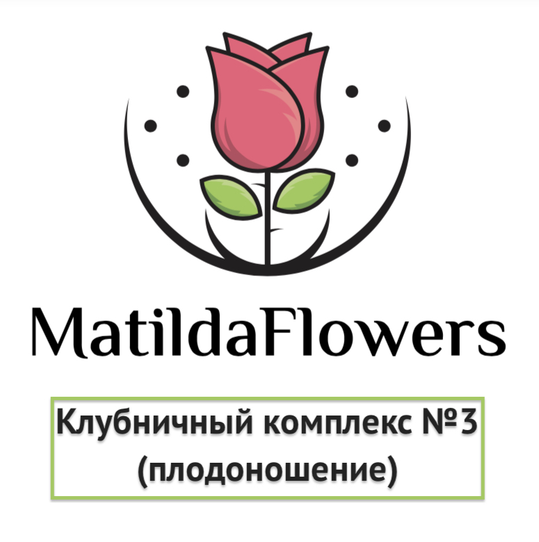 Фото Клубничный комплекс 3 (плодоношение) в Новосибирске Matilda Flowers
