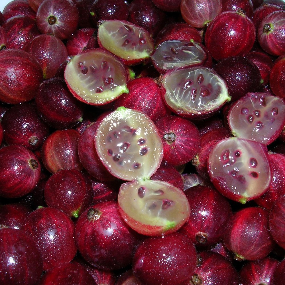 Фото Краснославянский в Новосибирске Matilda Flowers