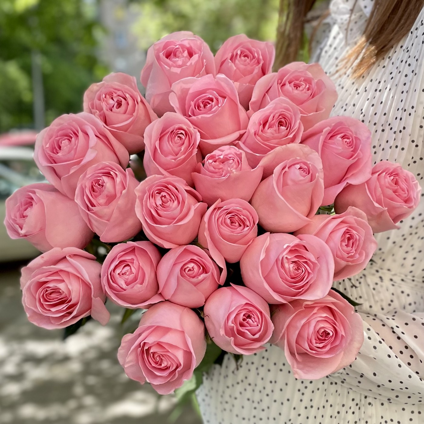 Фото Саженец чайно-гибридной розы Лучиано в Новосибирске Matilda Flowers